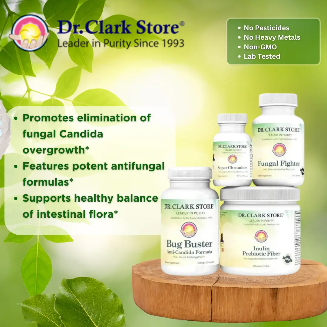 Candida Protocol - Image 2