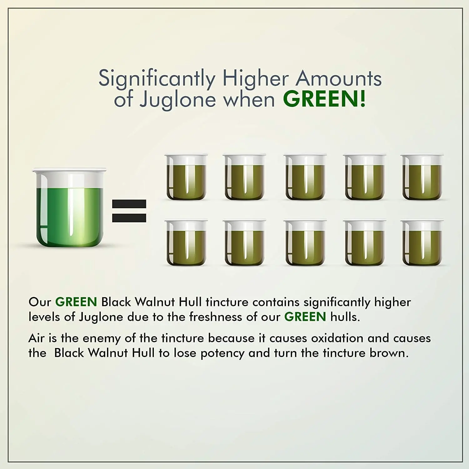 ParaCleanse Advanced Kit – Tape Parakil Oil - Image 3